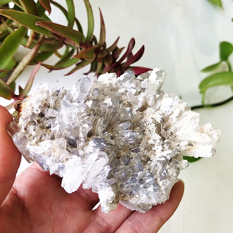 

100% Natural crystal Chrysanthemum Stone Crystal Cluster Specimen Home Room Decor Feng Shui Ornaments Teaching and Scientific