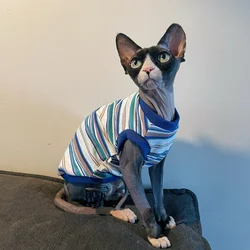 Spring Summer Cotton T-Shirt for Sphynx Cat Clothing Soft Short Sleeves Striped Vest for Male Cats Elestic Coat For Devon Rex