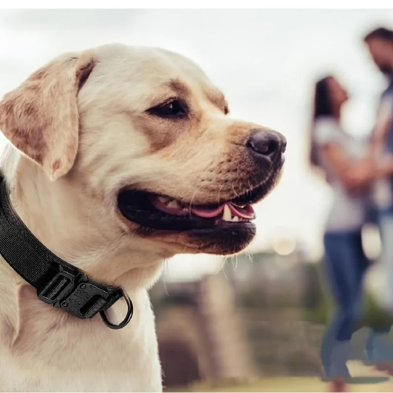 Tactical Dog Collar Adjustable Military Nylon Dog Collar with Control Handle Heavy Duty Metal Buckle for Medium Large Dogs view 6