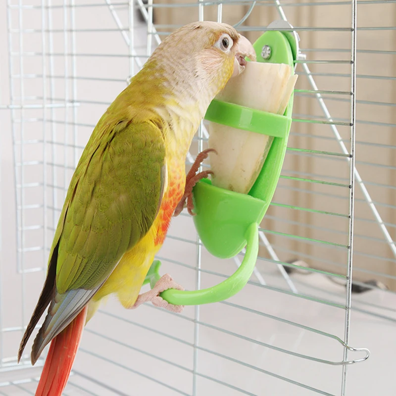 Vp 1Pc Bird Cage Fe…