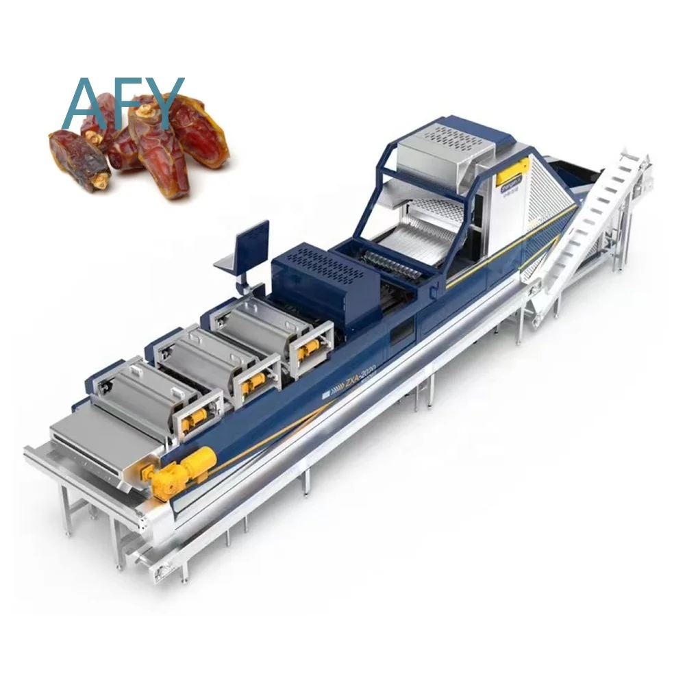 Hot Sale Electric Stainless Steel Fruit Vegetable Sorting Machine Date Grading Equipment for Commercial Use for Food