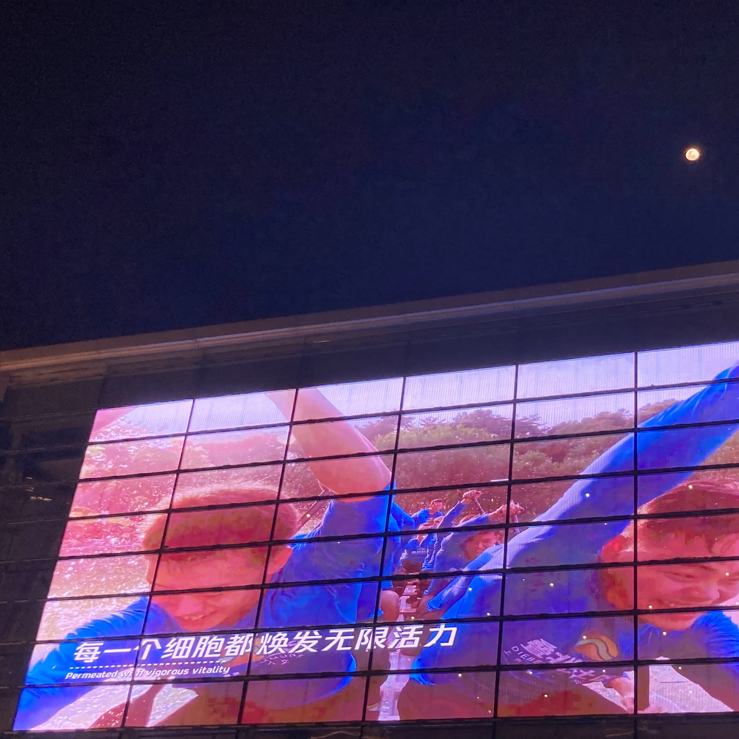 60 % Transparenz, hochauflösendes, transparentes digitales LED-Bildschirmpanel, klarer LED-Mesh-Bildschirm für Glasfenster