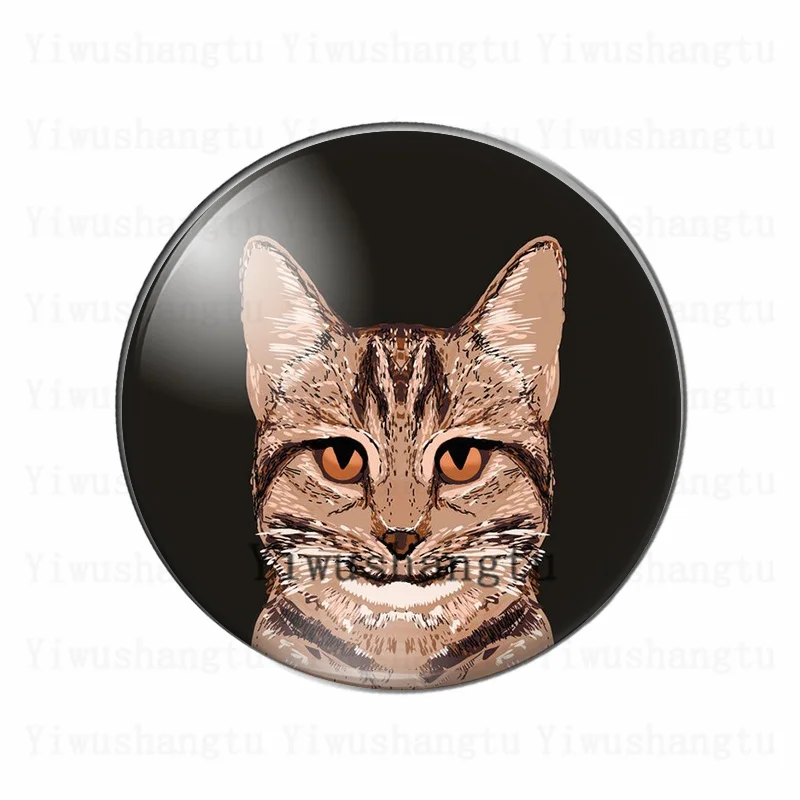 Pet cat cute and Naughty  cat's head balloon wreath 12mm/20mm/25mm/30mm photo glass cabochon demo flat back Making findings