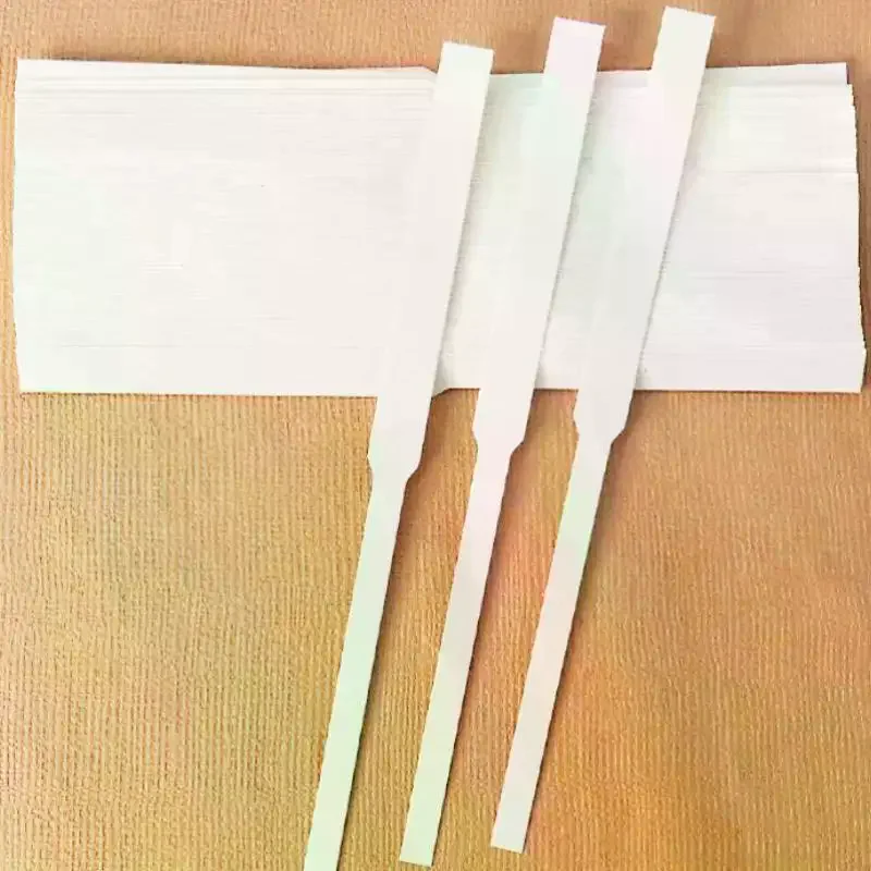 100 Fogli di Strisce Assorbent - Home Fragrance Premium recensione e prezzo
