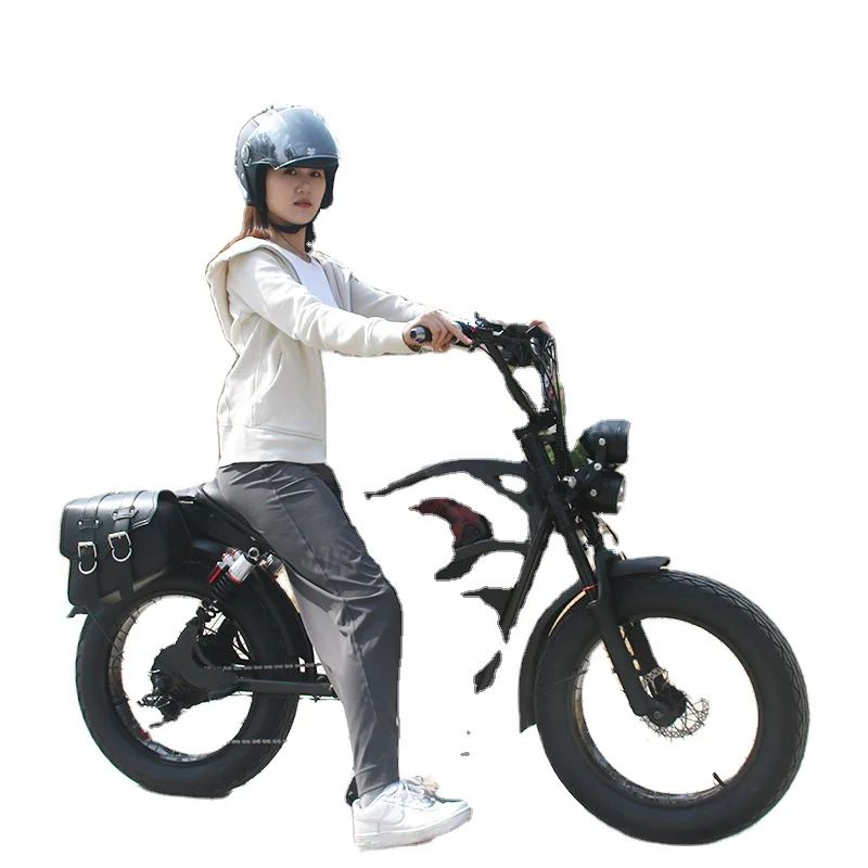 electric bicycle 48 V 750W 1500W 20 inch fat  aluminum alloy