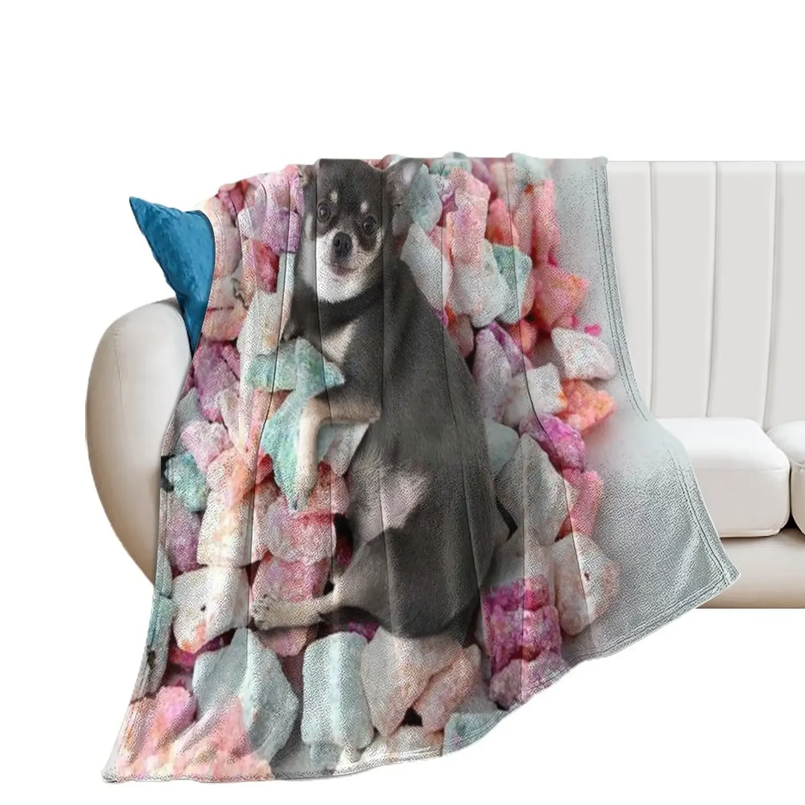 Chihuahua Cute Candy Throw Blanket Luxury Throw For Sofa Thin Cute Beach Blankets