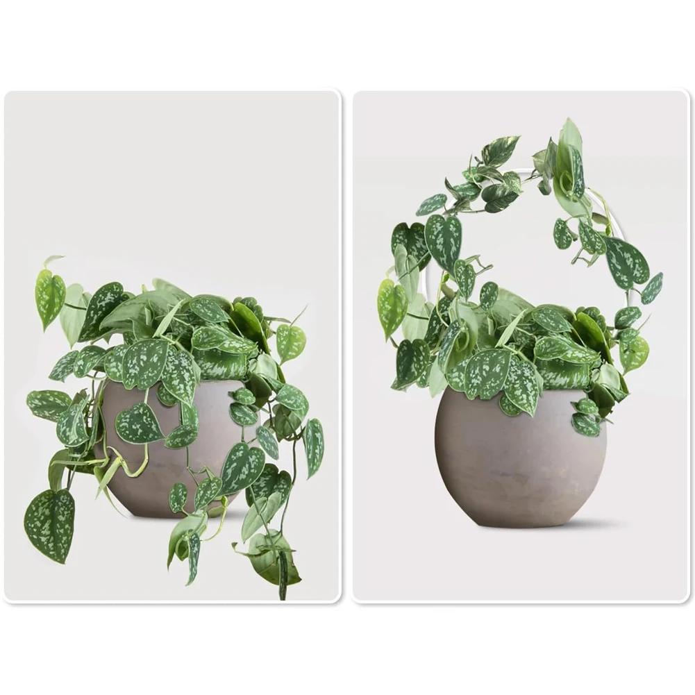 6pcs Plant Trellis Supports Transparent Plastic Climbing Aid with Straps for Potted Vines Pothos Indoor Balcony Vertical Growth