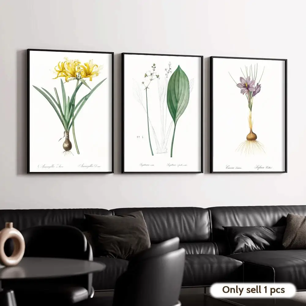 Vintage Botanical Flower Poster Decorative Wall Art Stickers Mural Photo Print for Home Living Room Hallway Decor