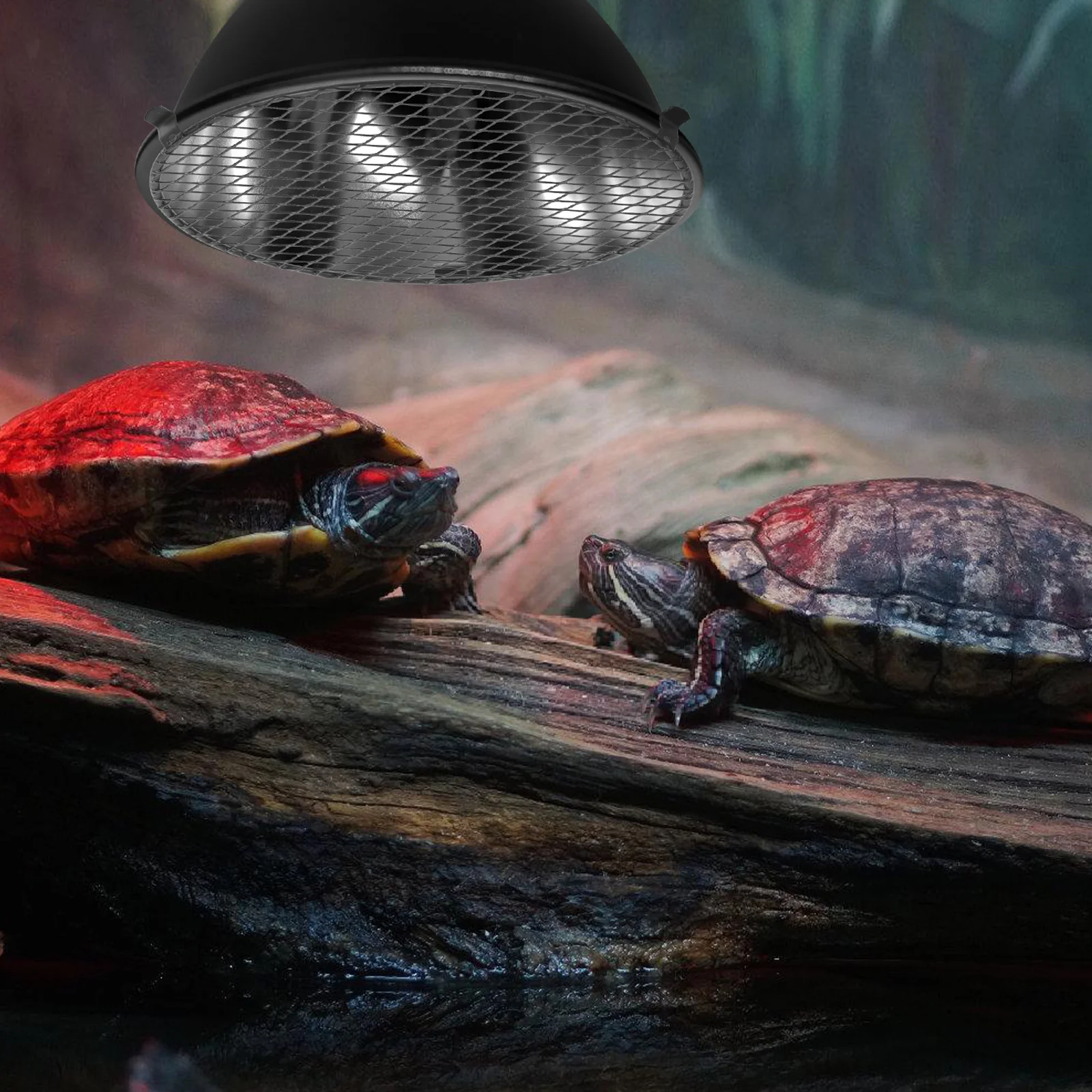 

Metal Heat Lamp Cover Mesh Lid for Reptile Cage Protection Strong Iron Mesh Shield for Easy Maintenance Lamp Guard