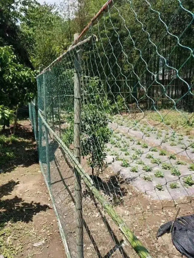 Robustes Anti-Vogel-Netz für den Garten, Hirsch, Zaunnetz, Gartennetz und Pflanzen, schützendes Zaunnetz für Anti-Vogel-Hirsch, Katzen und Hunde – Detail 11