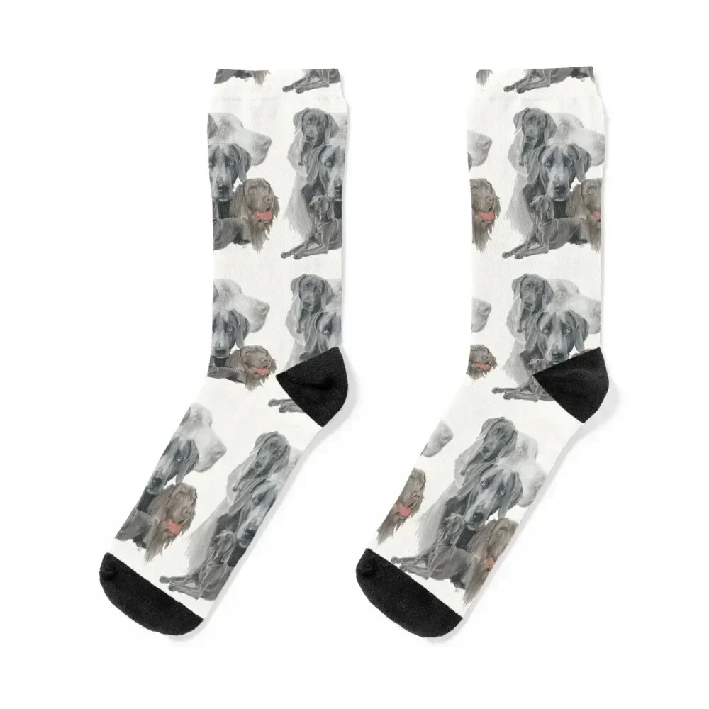 

Weimaraner Medley Socks designer brand funny sock retro essential Socks For Girls Men's