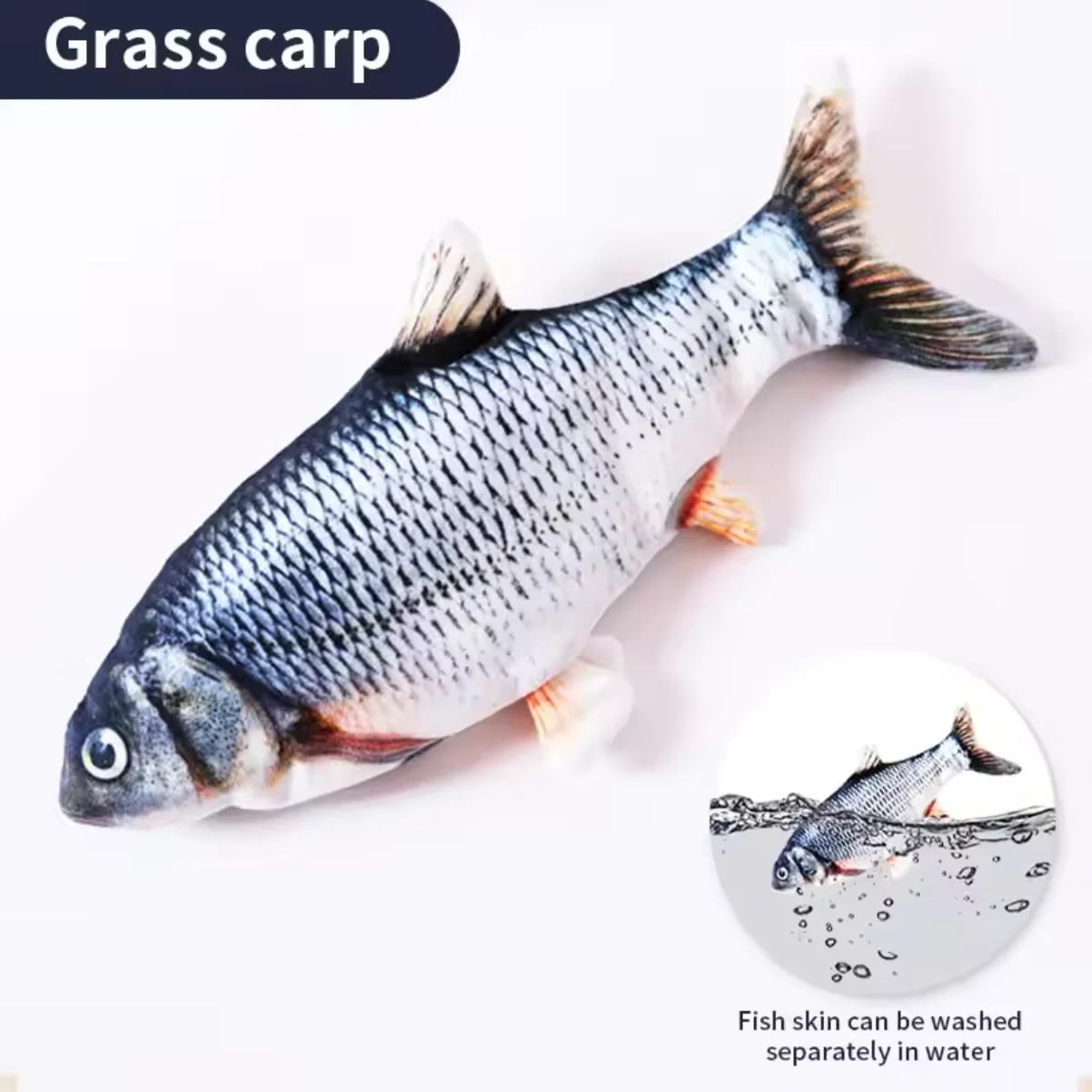 grass carp
