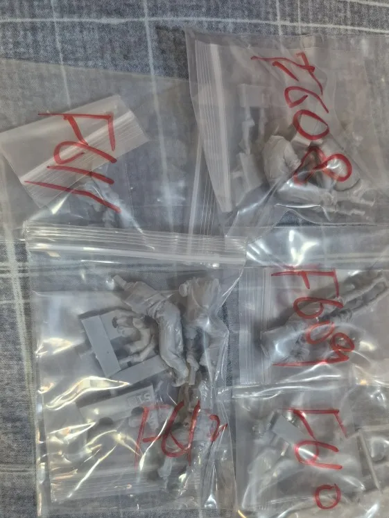 Buyer photo of this resin kit