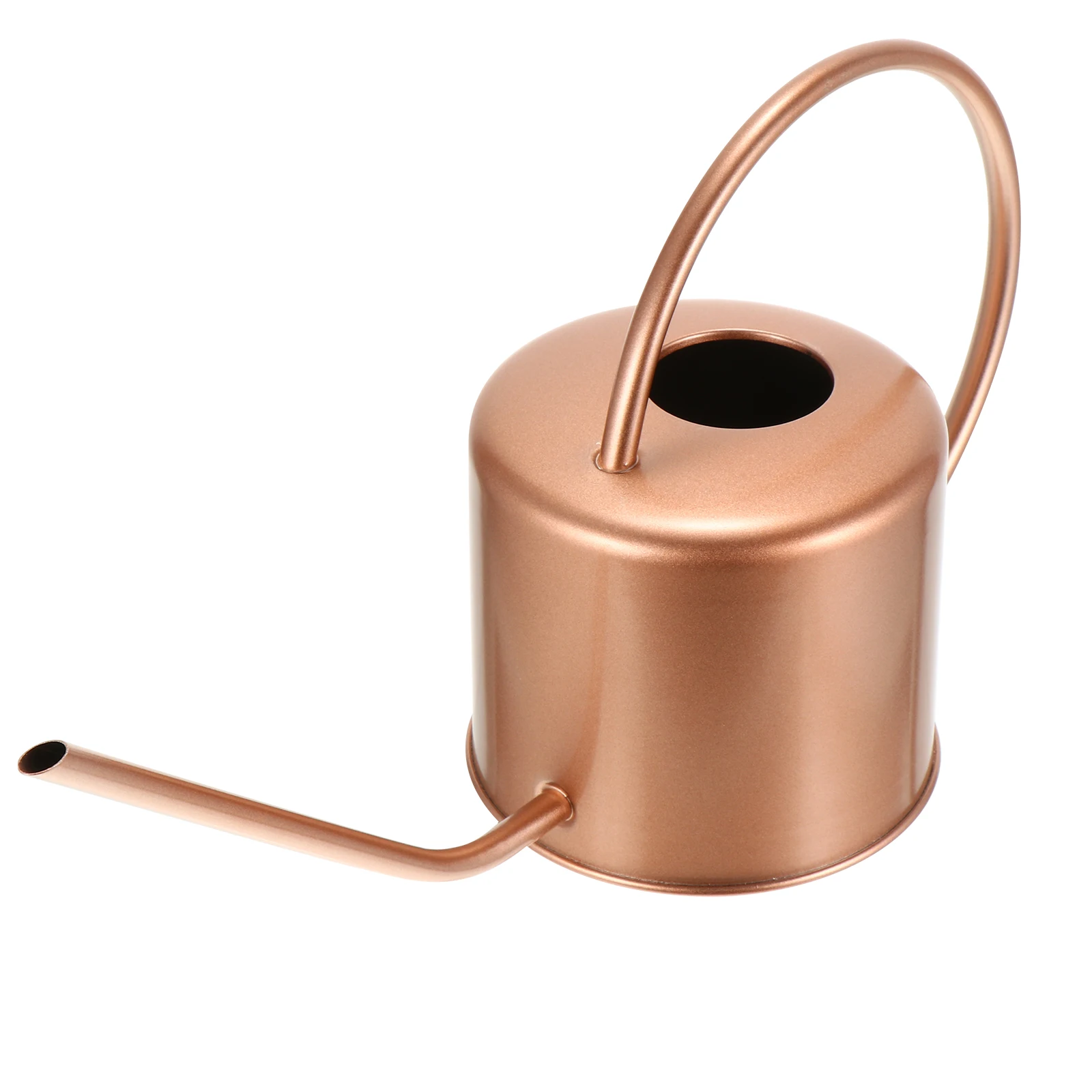 

Long Spout Stainless Steel Watering Can Kettle Large Capacity Gentle Stream Easy Grip Handle For Use Durable