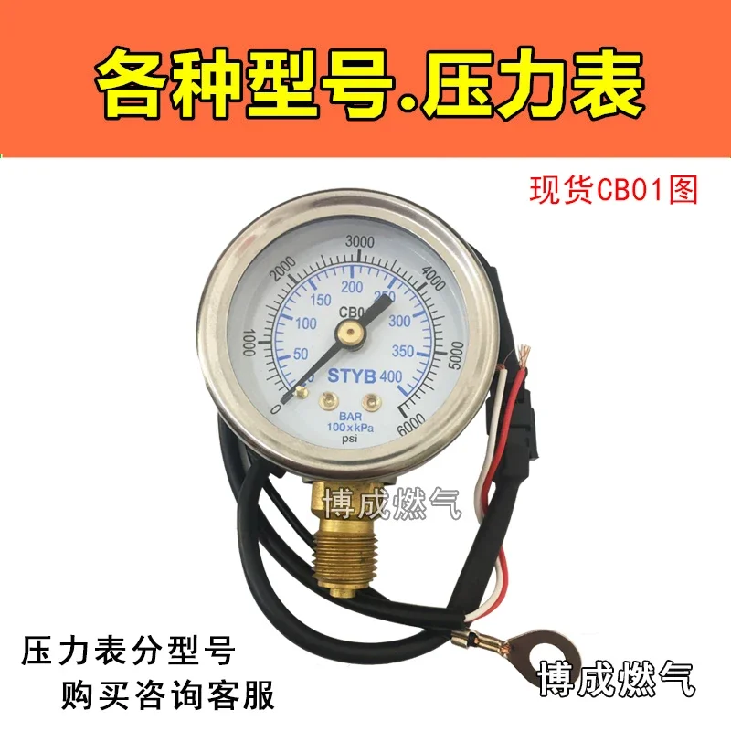 Stainless steel pressure gauge Automotive natural gas CNG gas