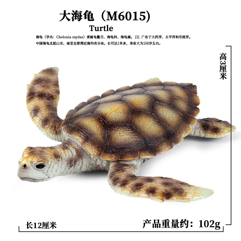 Simulation Marine Animals Ornaments Turtles Eared Slider Tortoise Amphibians Animal Model Children Science Education Tools Toys
