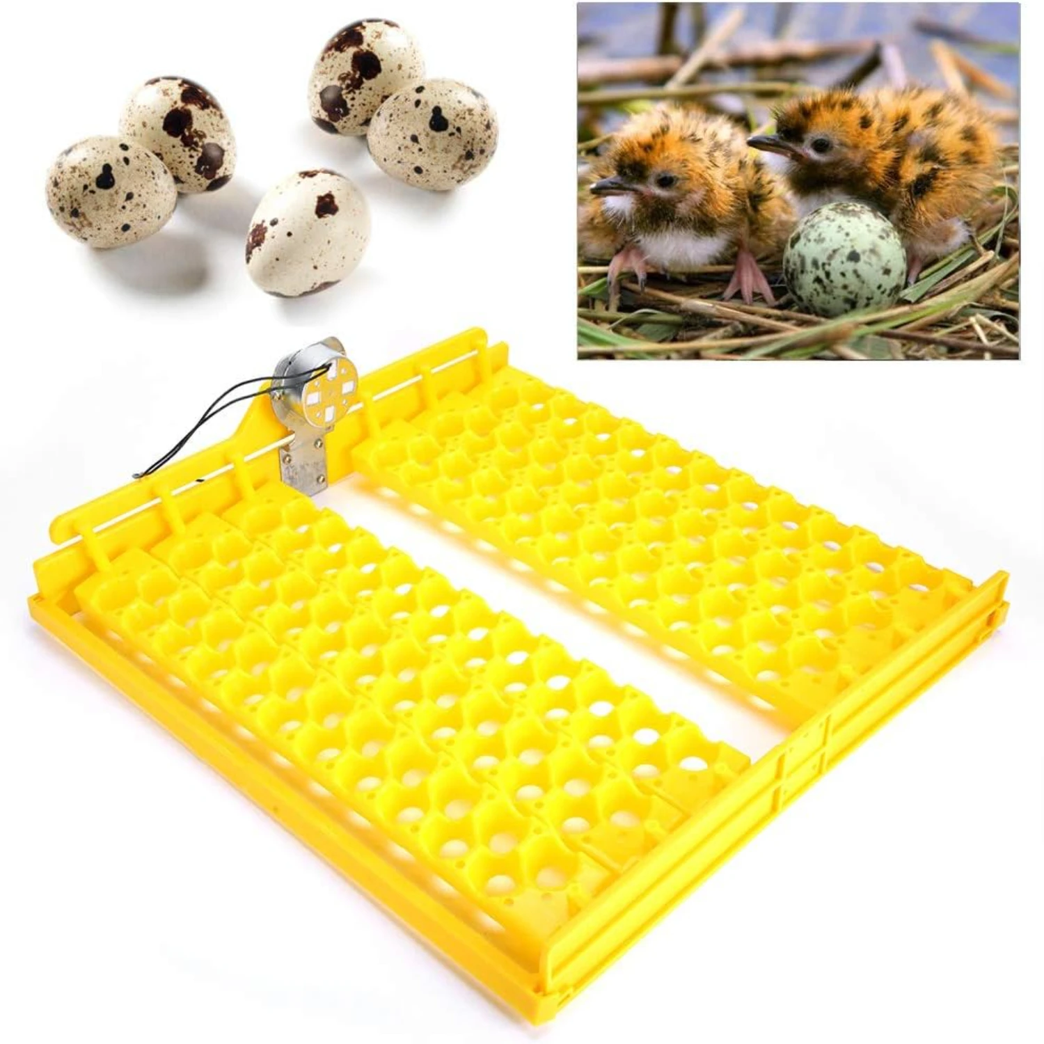 Superior Automatic Poultry Egg Incubator Tray with Enhanced Large Capacity for High-Quality Hatching Performance - Reliable, Eff