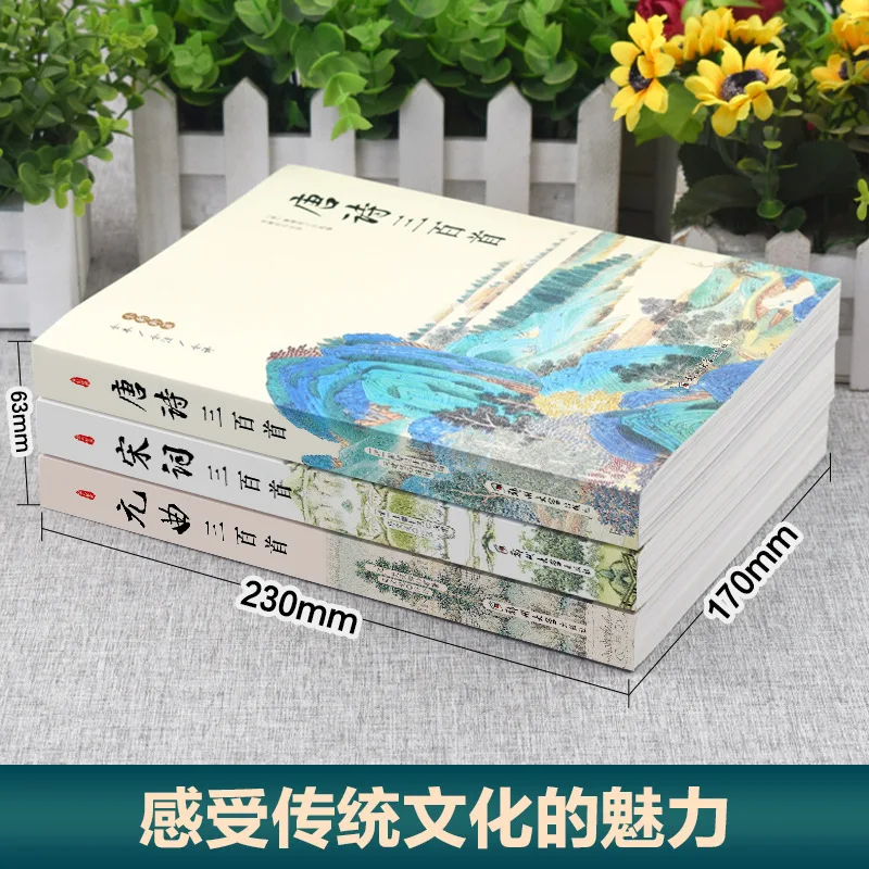 Appreciation of Three Hundred Tang Poems, Three Hundred Song Lyrics, and Three Hundred Yuan Songs in Ancient Chinese Poetry