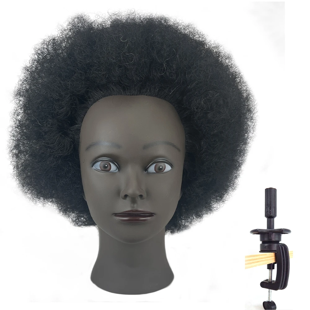Cabeça de manequim afro de 8 polegadas, 100% cabelo real, cabeça de treinamento, cabeça de cabelo trançado, cabeça de bonecas para praticar cornrows e tranças