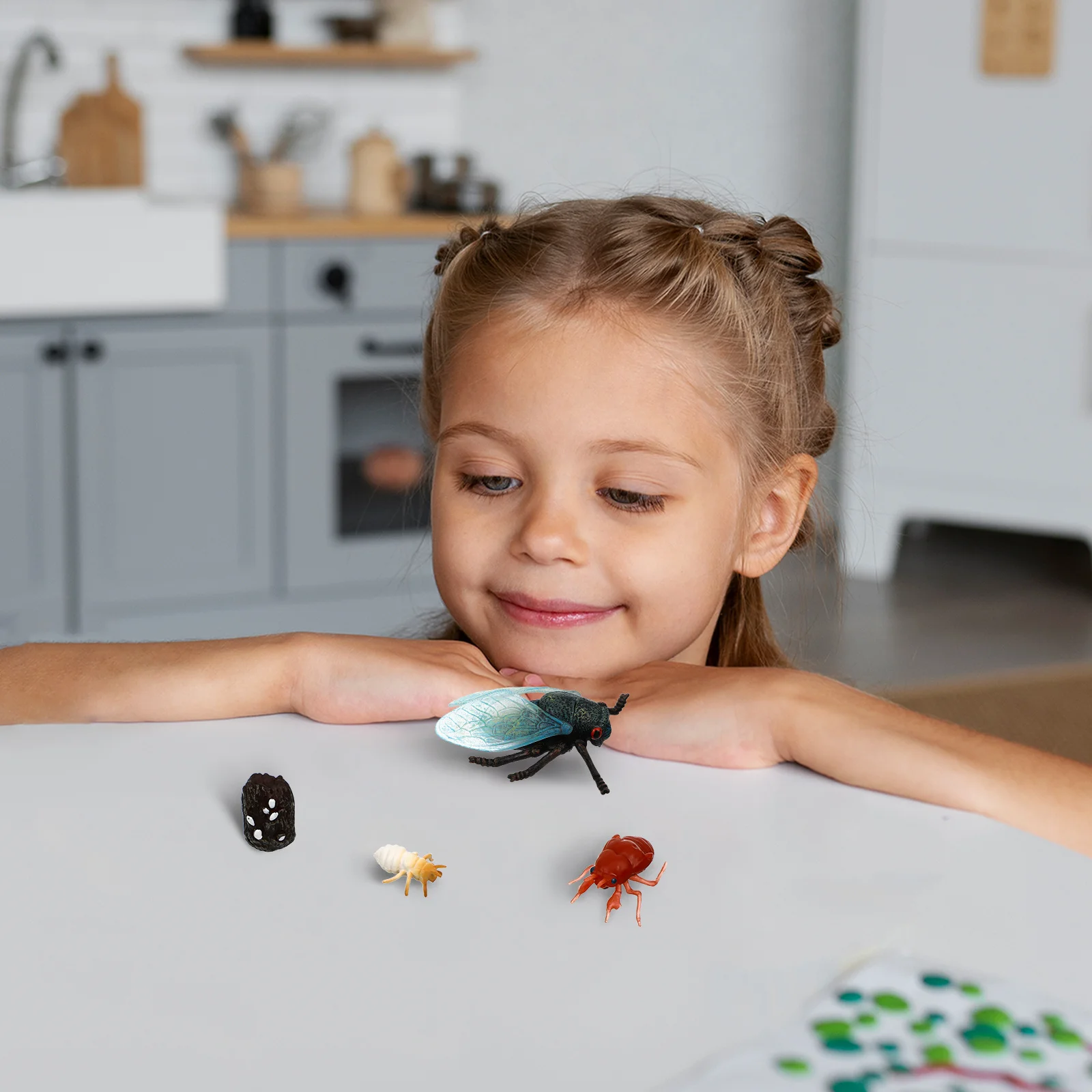 1Set Cicada Life Cycle Science Educational Insect Learning Set Realistic Simulation Animal for Kids Desktop Decoration Goodie