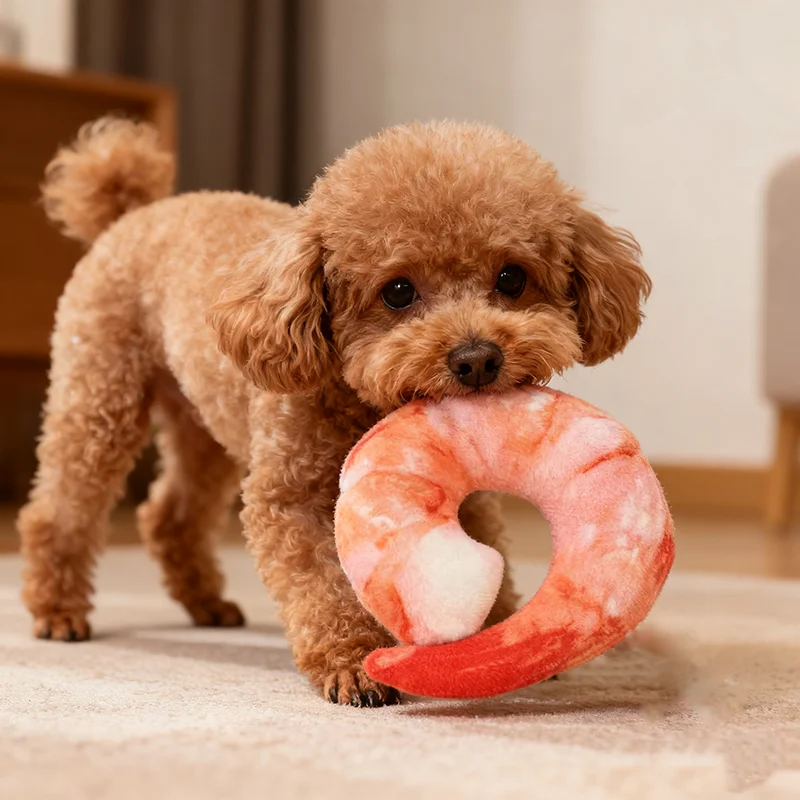 لعبة قرص طائر للكلاب على شكل ب - مراجعة Flying Disc Dog Training Toy وسعره