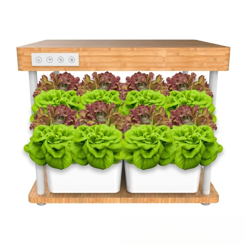 

Intelligent hydroponic machine bamboo plant growth lamp, bonsai plant growth machine