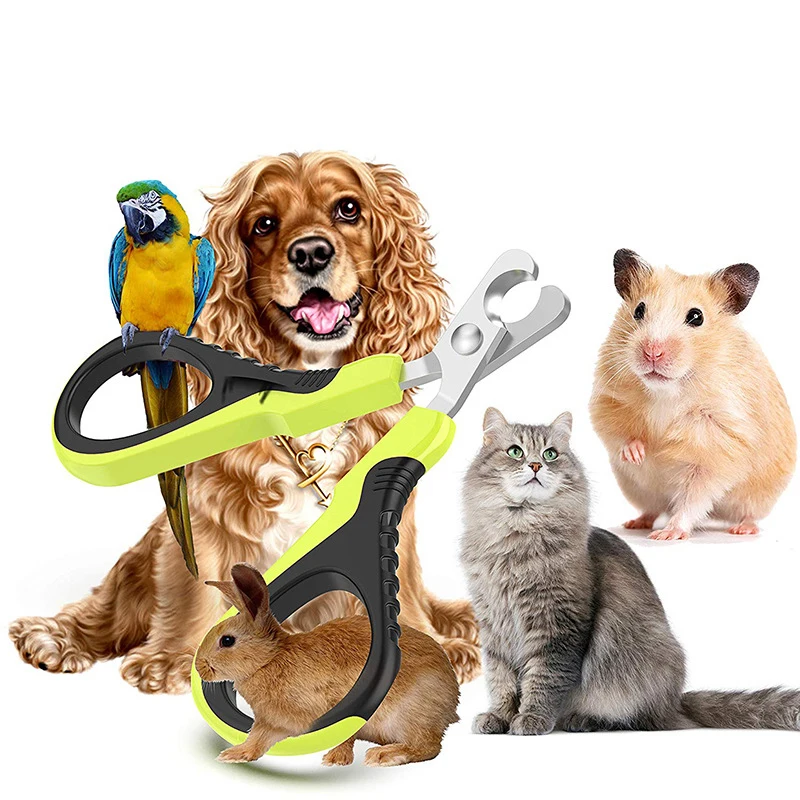 Professional Pet Nail Clippers For Small Animals Suitable For Dogs Cats Rabbits Hamsters Birds And More