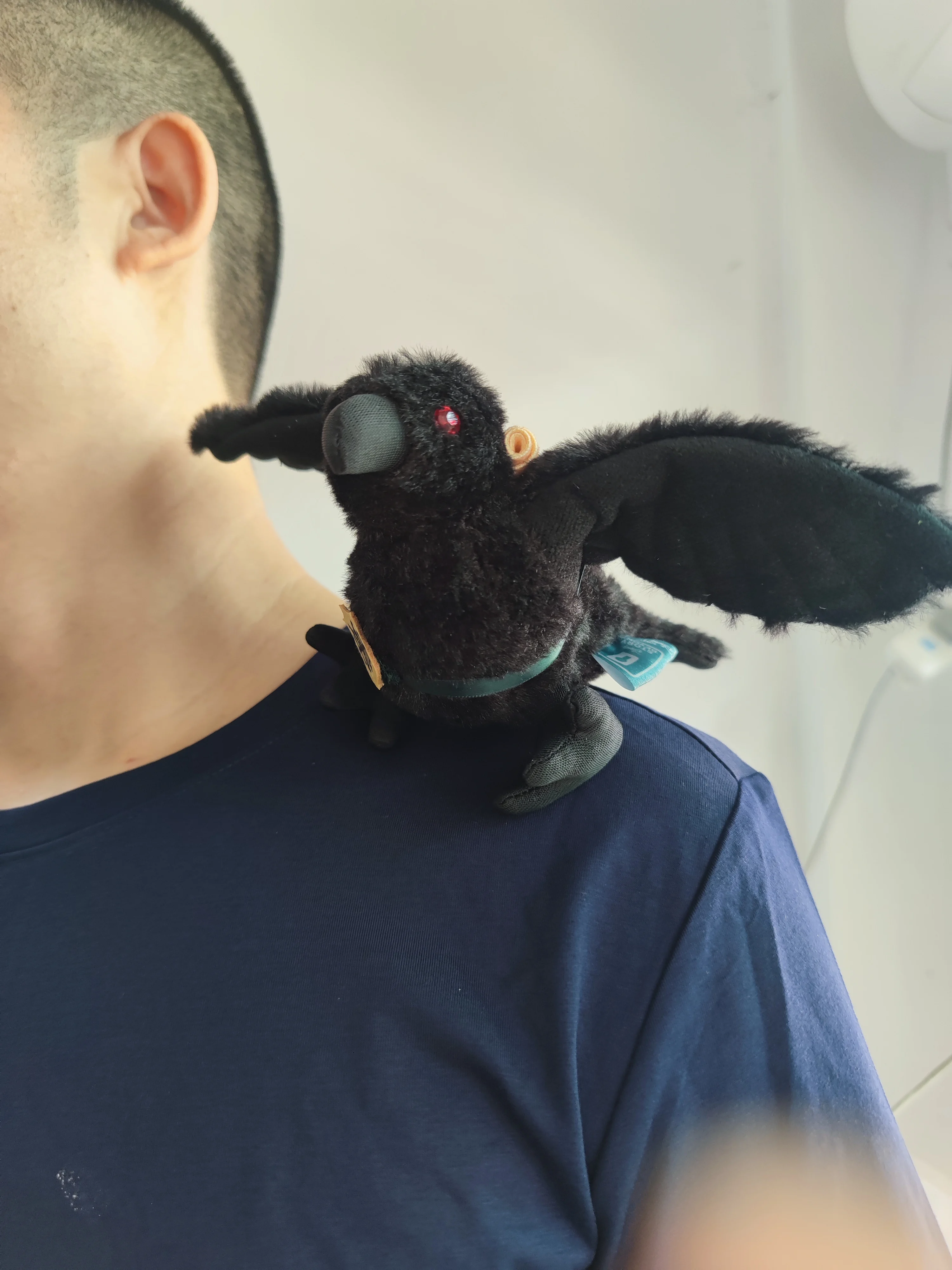 

Disney Resort Haunted Mansion Magnetic Shoulder Plush Badge Raven New