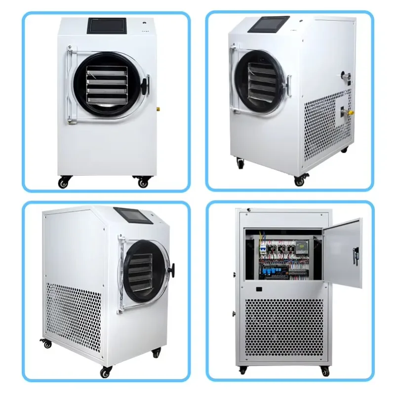 Thuisgebruik Kleine Lyofilisator Melkpoeder Snoep Vriesdroogmachine Gedehydrateerde Groenten Fruit 4Kg 6Kg Vriesdroger te koop