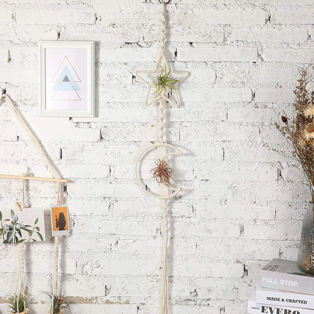 

Hanging Air Plant Holders Durable Cotton Rope Tillandsia Decor Home Office Use Air Plant Hanger Tillandsia Hanging Rope