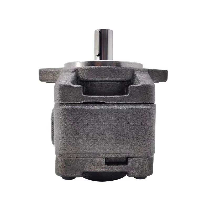 

внутренний шестеренный насос HG0-08/10/16/20 масляный насос HG1-25/40/50/63-01R-VPC