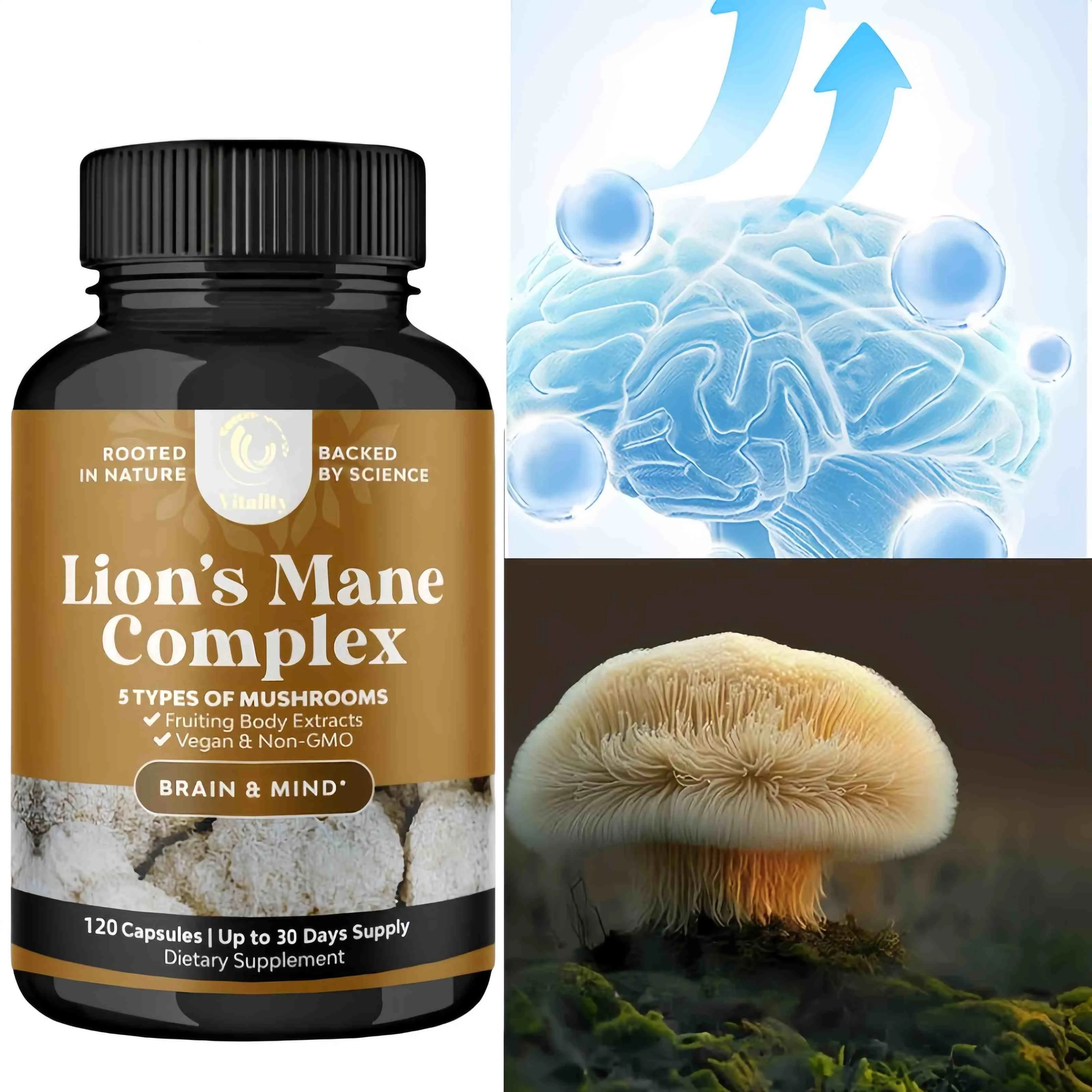 Mushroom Complex Capsules with Lions Mane Chaga Cognitive Brain Function Stress Relieves Beauty Health Diet Supplement