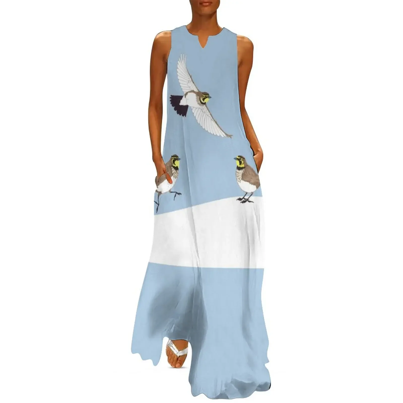 

Trio of Horned Larks in the snow Long Dress summer dress women 2025 womans clothing Dress