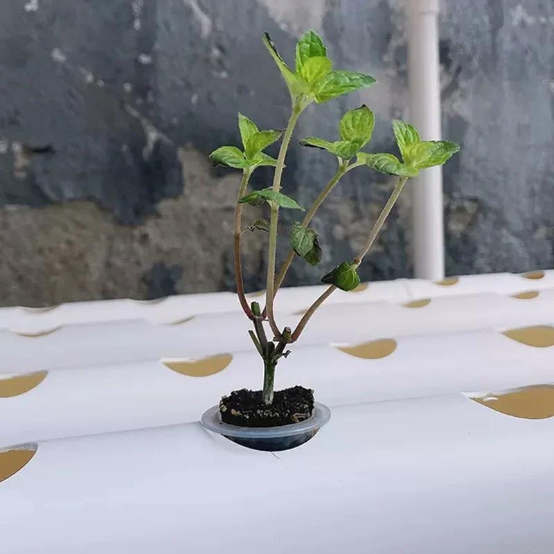 Soilless Growing System Kit, PVC Pipe Hydroponics, Home Garden, Herb Gardening Tools, Solar-Powered, Low-Pressure Circulation