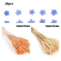 20/25pcs/set Natural Wheat Ear Barley Dried Flowers Bouquet For Wedding Party Decoration DIY Craft Wheat Bouquet Room Decoration