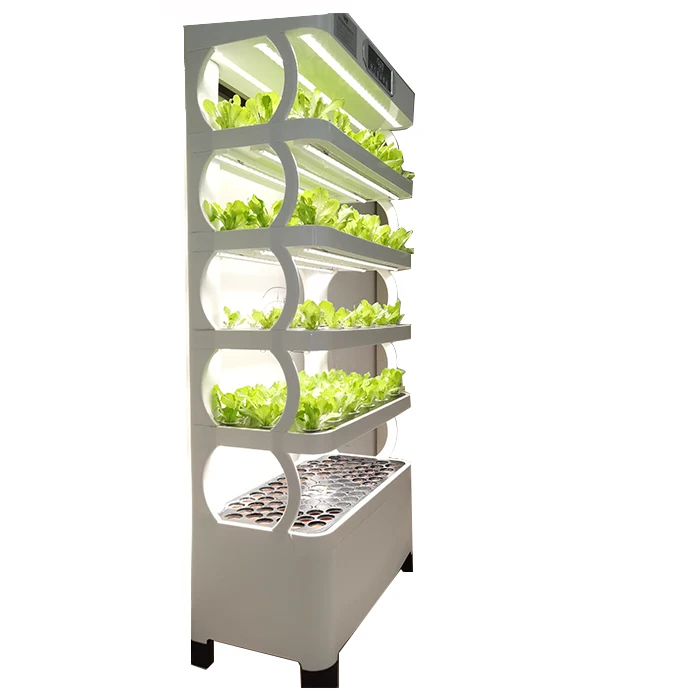 New Trend Hydroponic Plastic Seeds Pots Lettuce Plants Pots Green Plant Planter for Farm Garden