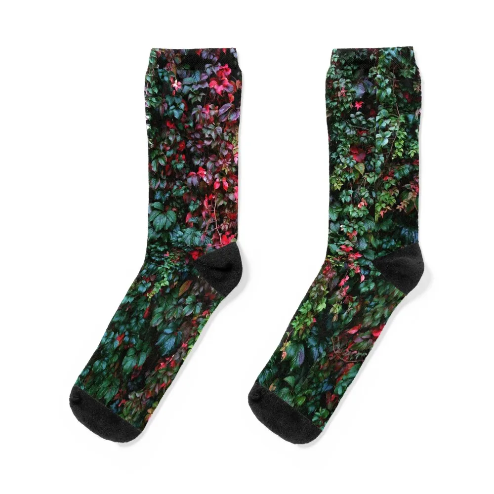 Miss Ivy Socks Stockings man funny gifts anti-slip sheer Socks Women Men's