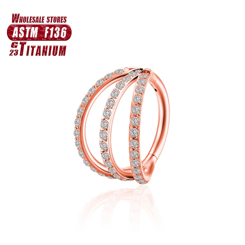 Women's Titanium ZC Nose Rings & Hinged Segment Earrings, Versatile