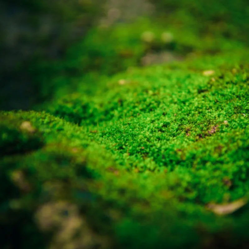 

4 шт. 118 мм 1,9 дюйма резиновые шины/шины для 1:10 RC Rock Crawler автомобиля для осевого SCX10 90047 D90 D110 TF2 TRX-4