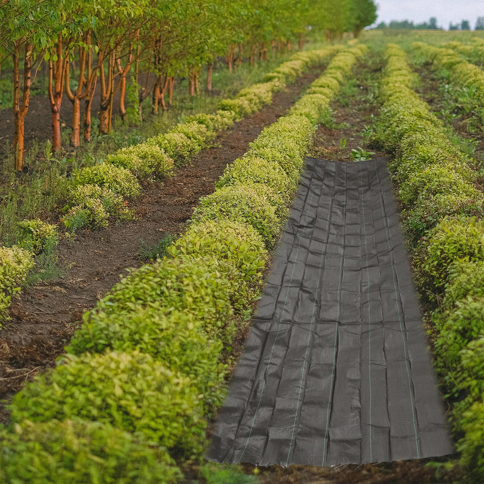 

Fabric Garden Weed Barrier Outdoor Ground Cover Plastic Weeding Cloth Landscape Fabric for Tree Garden Ground