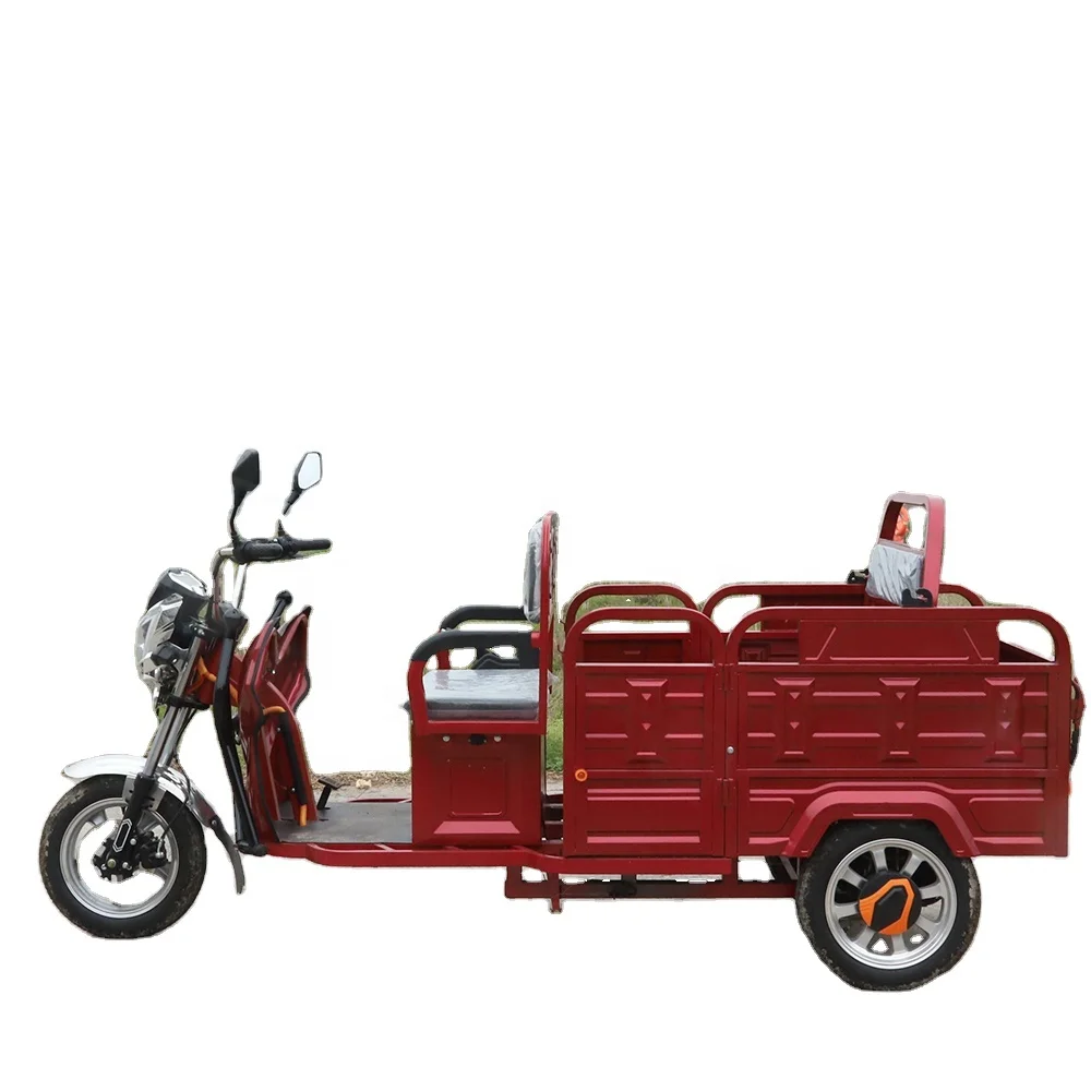 Small Chinese Countryside Vehicle Electric Pedicab  Rickshaw Trailer Other Motorized Tricycles for Adults with EEC and COC