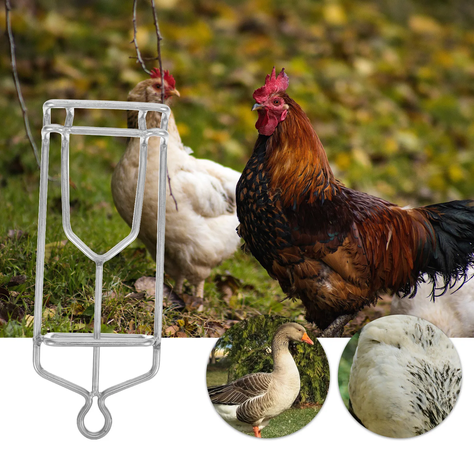 

Multifunctional Meat Hook Stainless Steel for Hanging Roast Grill Sausage Bacon Ham Fish in Kitchen Butchering Meat Processing