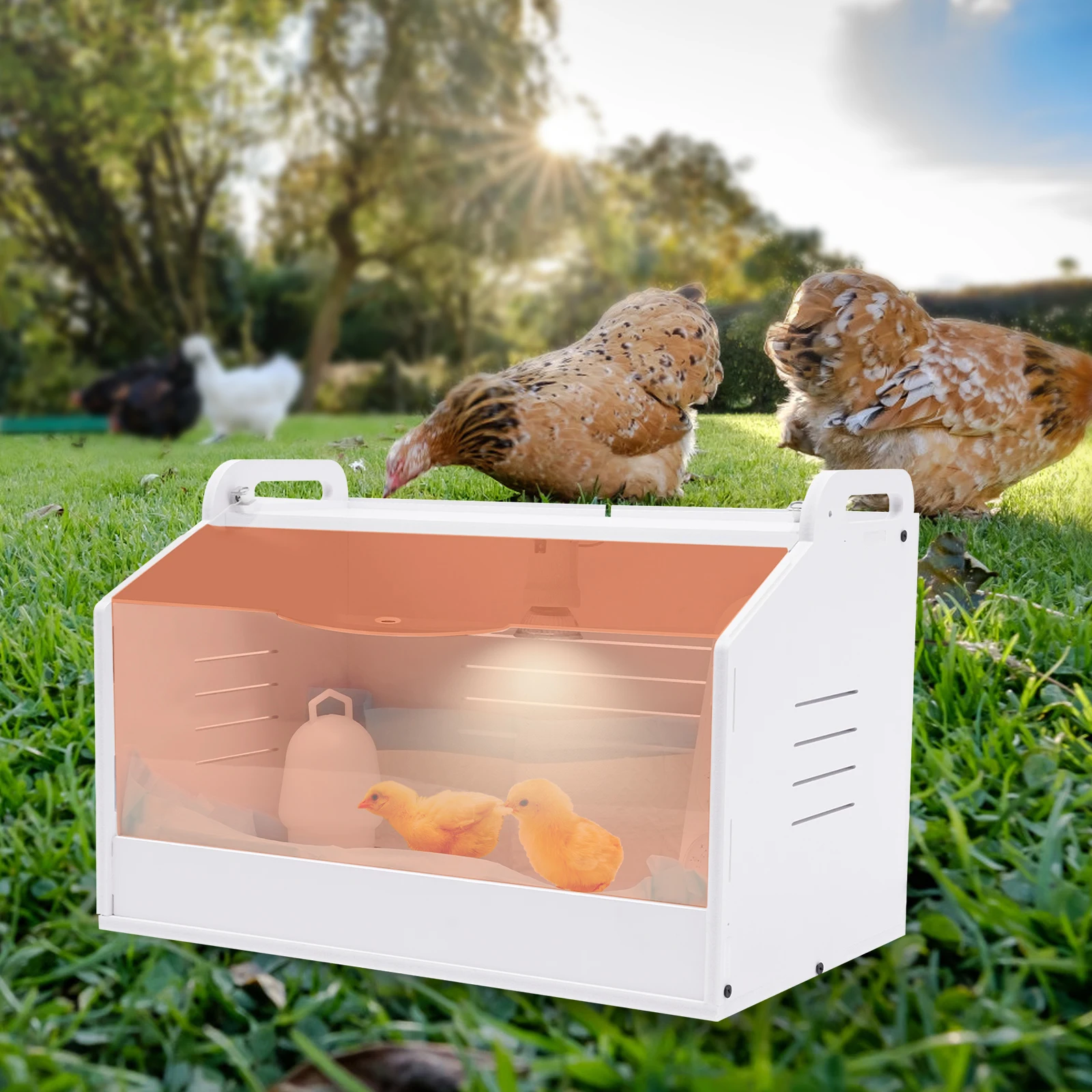 20 Eggs Incubator Dimmable Poultry Hatchery 220V 25W Electric Chicken Brooder Box w/ Water Feeder+Diapers+Thermometer 48*30*30cm