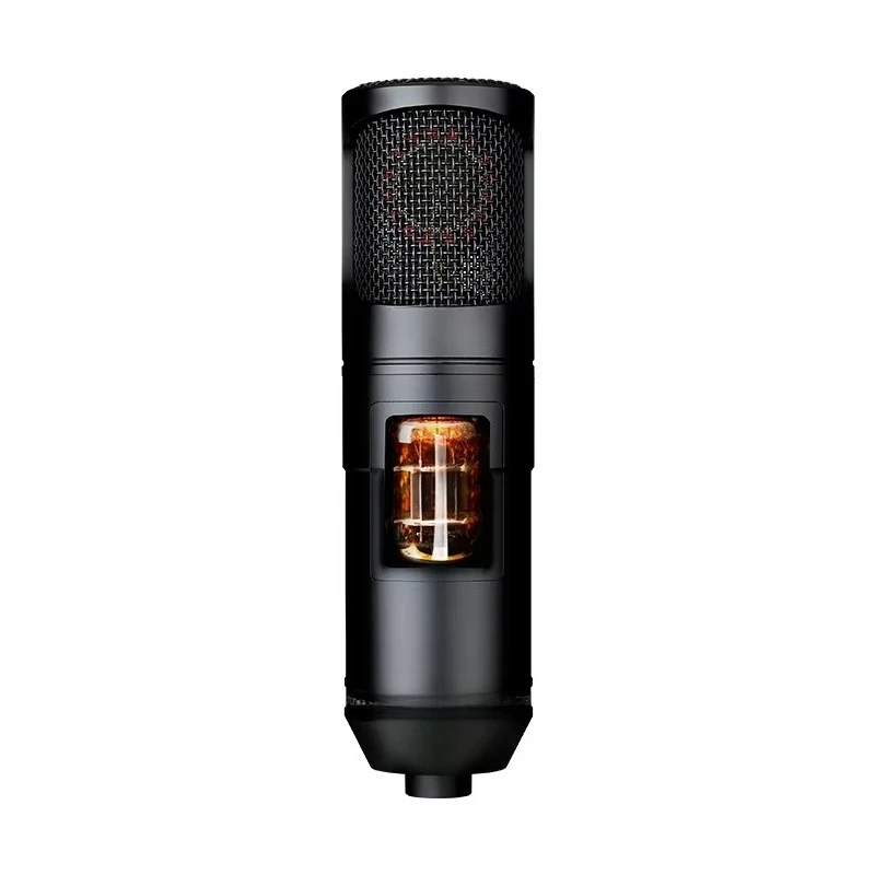 Professional Studio Condenser Microphone Set Multipattern Tube XLR Metal Plastic for Vocal Choir Recording