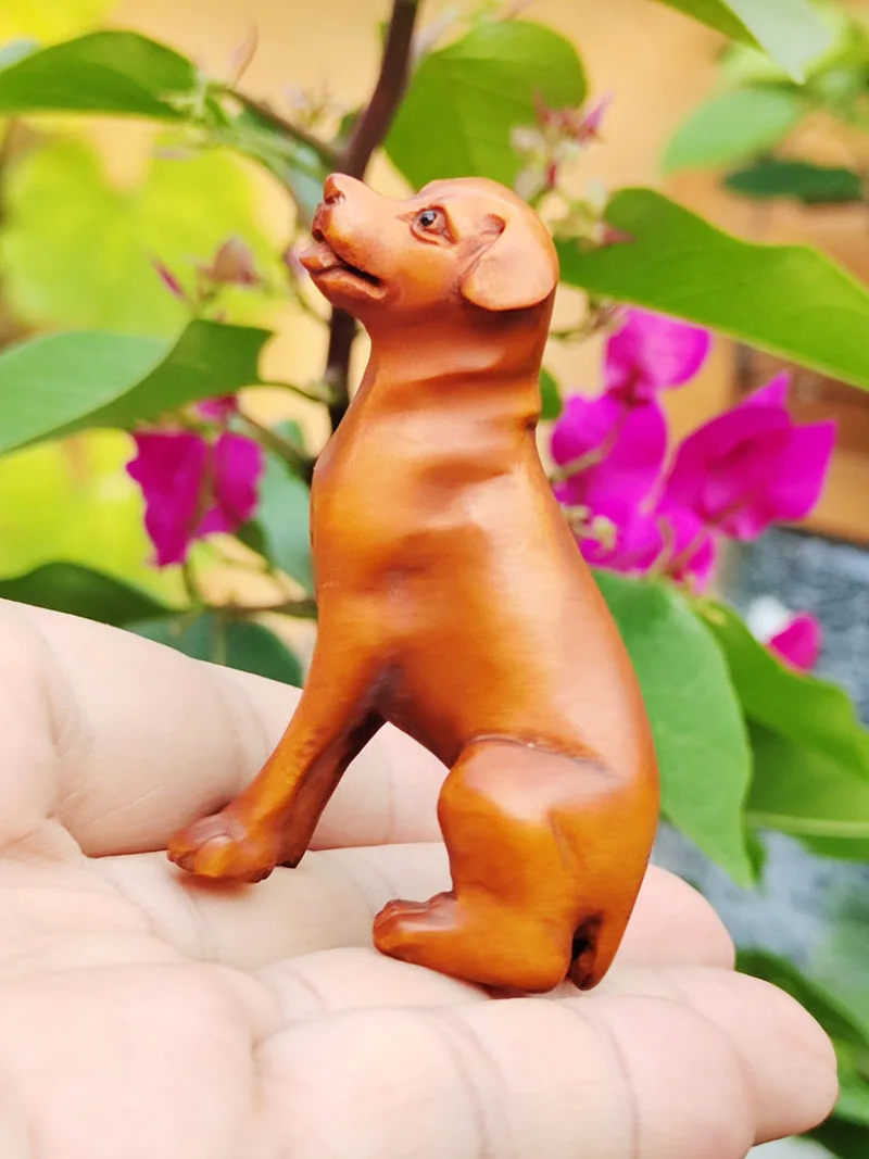GX1248 - 20 Years Old 2
