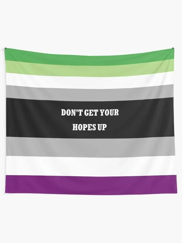 Don't get your hopes up AroAce Flag Tapestry Decor For Room Decoration Pictures Room Wall Wall Deco Decor Home Tapestry