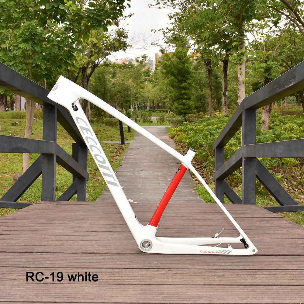 

CECCOTTI Carbon Mountain Bike Frame 29er Bicycle Frameset 148mm Boost Or 142mm Thru Axle MTB
