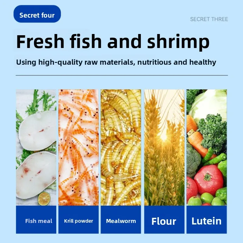 طعام السلحفاة Probiotic مع كالسيوم عالي للسلحفاة الطينية، منزلق ذو أذن حمراء، صندوق صيني سلحفاة وأنواع شبه مائية #6