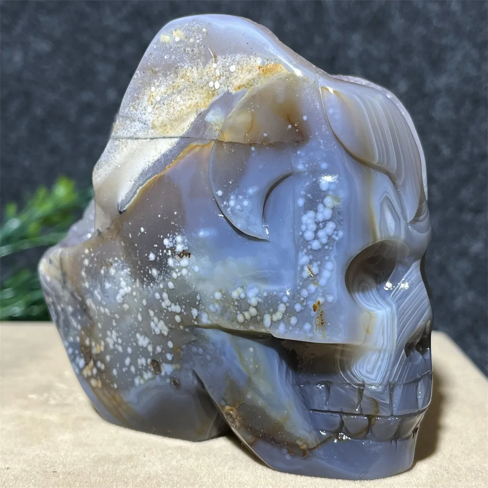 

Agate Druzy Evil Demon Skull Carved Stripe Stone Quartz Crystal Natural Stones Home Decoration Gift Section Cluster Gemstones