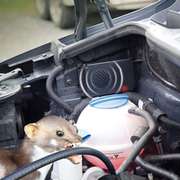 Ultrasonic Mouse Repellent Non-Toxic Mouse Repeller Battery-powered Electronic Mouse Repellent for Truck Auto